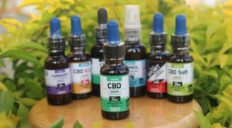 El Sistema Endocannabinoide