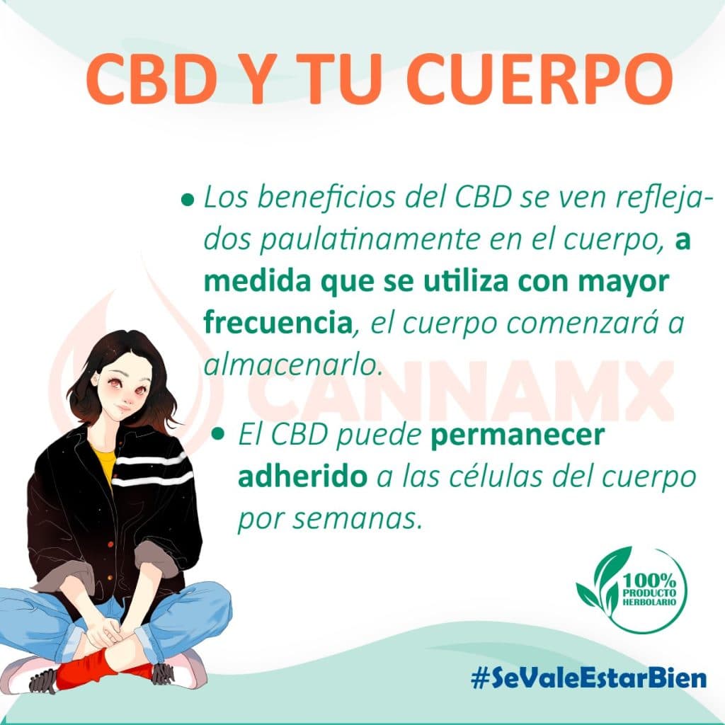 Nº 1 CBD: el efecto en las arterias