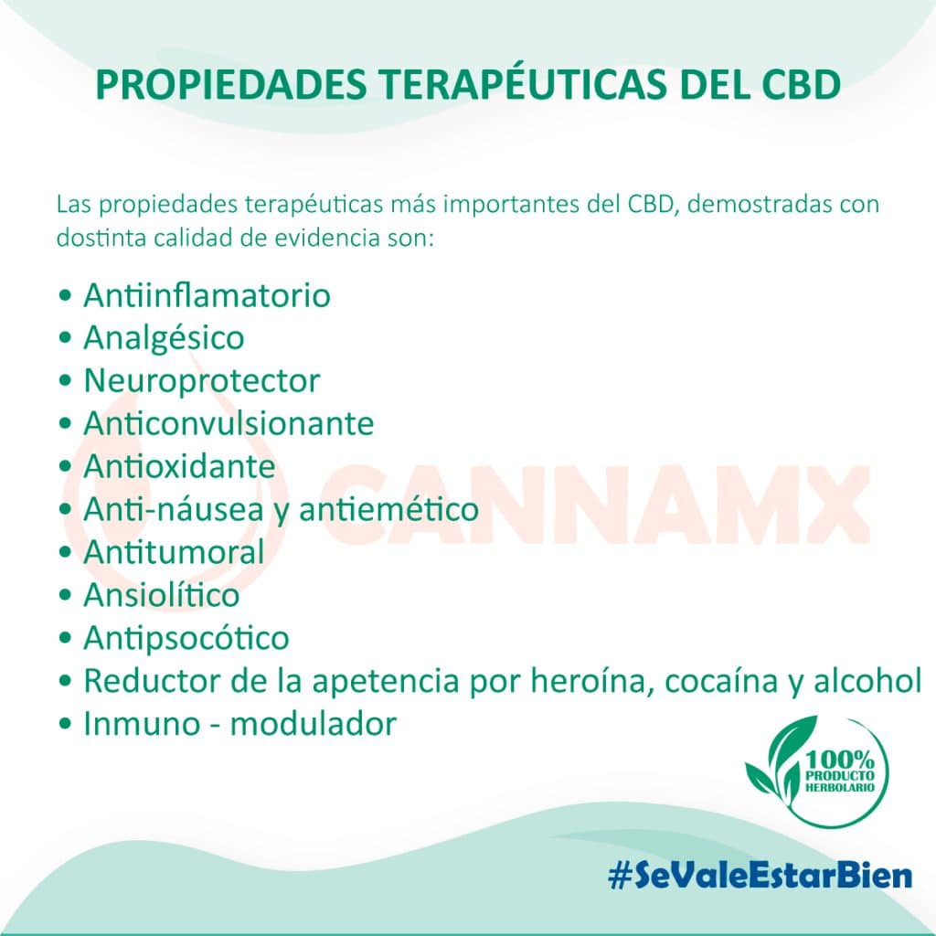 Nº 3 CBD: el efecto en las arterias