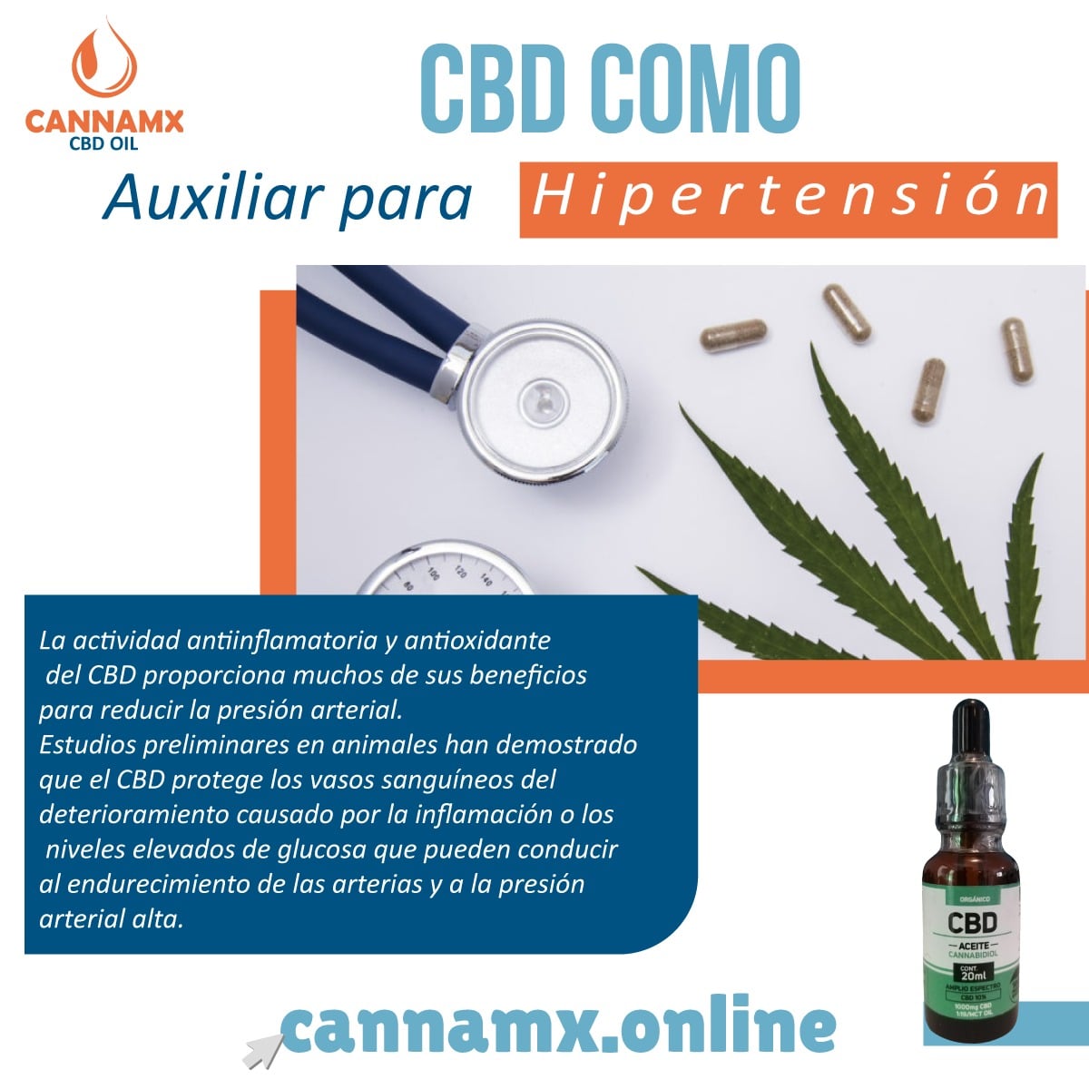 CBD y la hipertensión