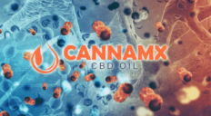 Nº 1 - CBD Como Auxiliar En El Tratamiento Para El Cáncer
