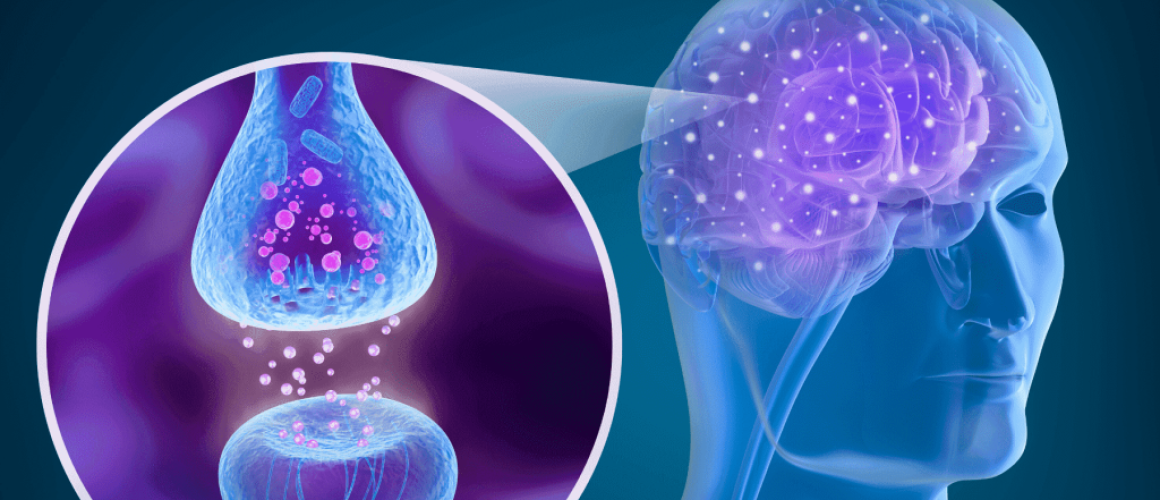 CBD y la Hipertensión: el papel de los receptores endocannabinoides