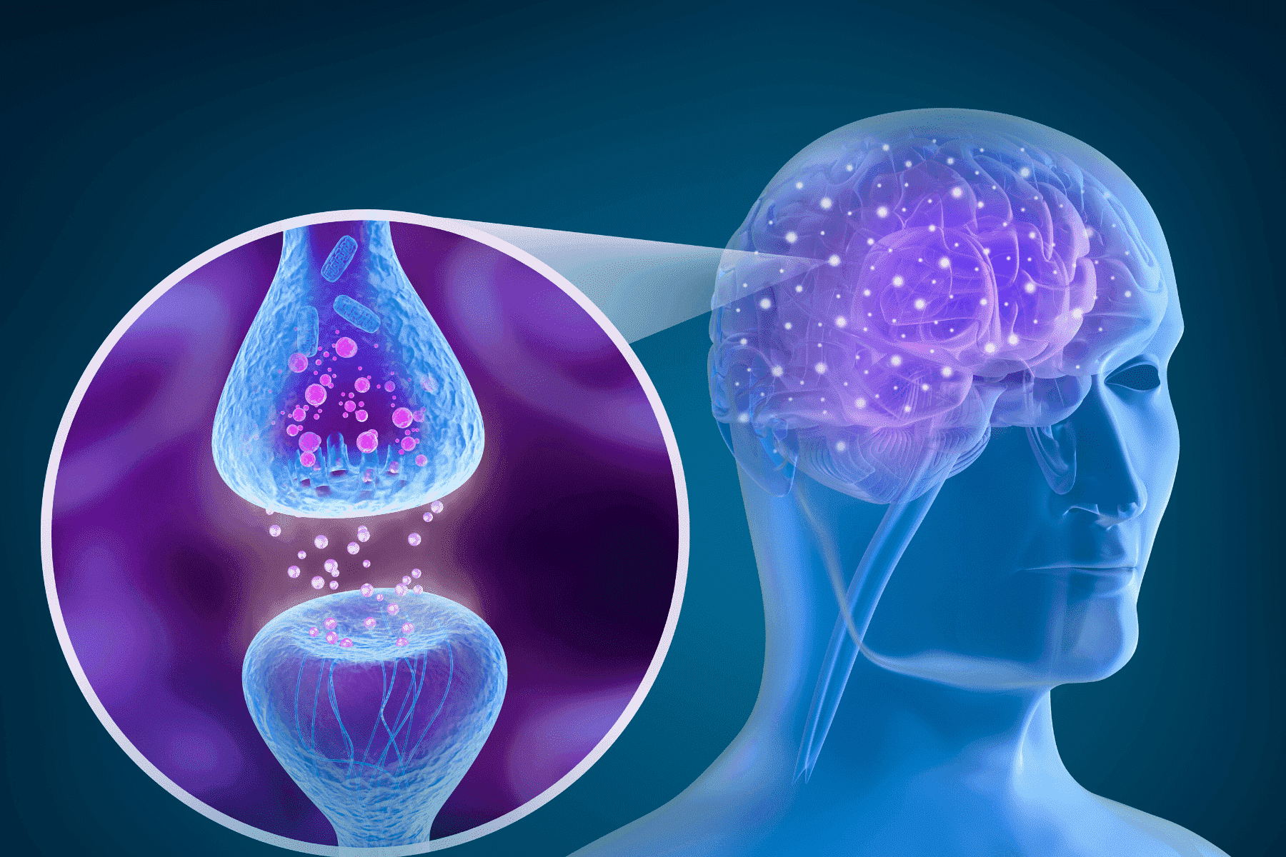 CBD y la Hipertensión: el papel de los receptores endocannabinoides
