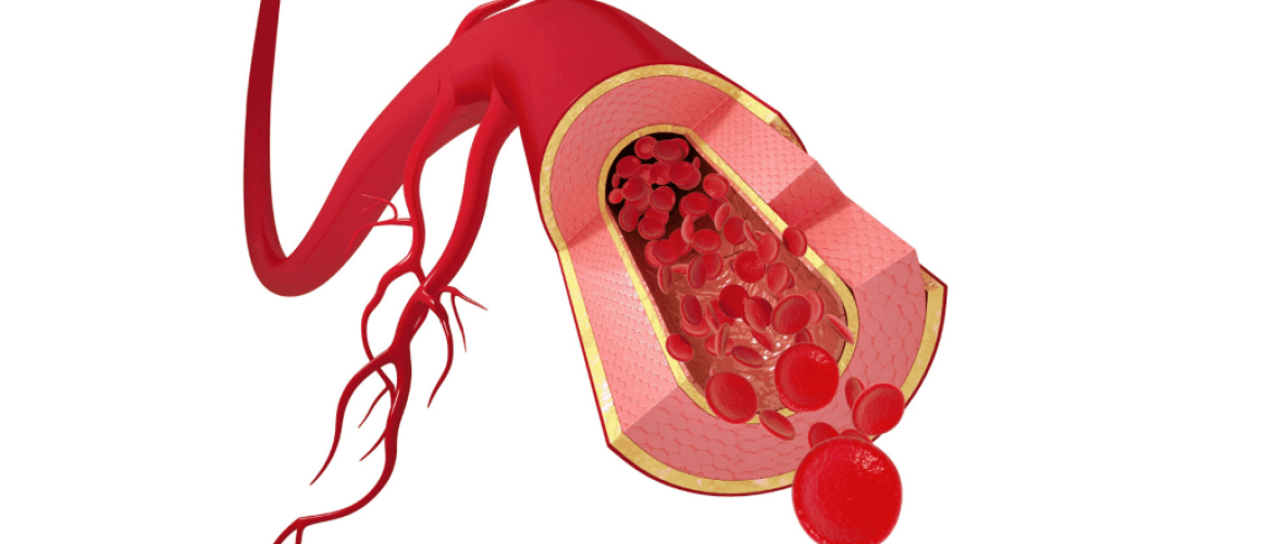 Nº 3 CBD: el efecto en las arterias