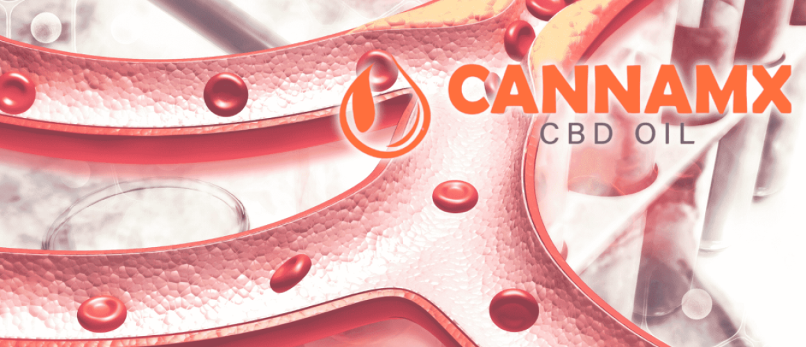 Nº 4 CBD: el efecto en las arterias