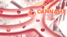 Nº 4 CBD: el efecto en las arterias