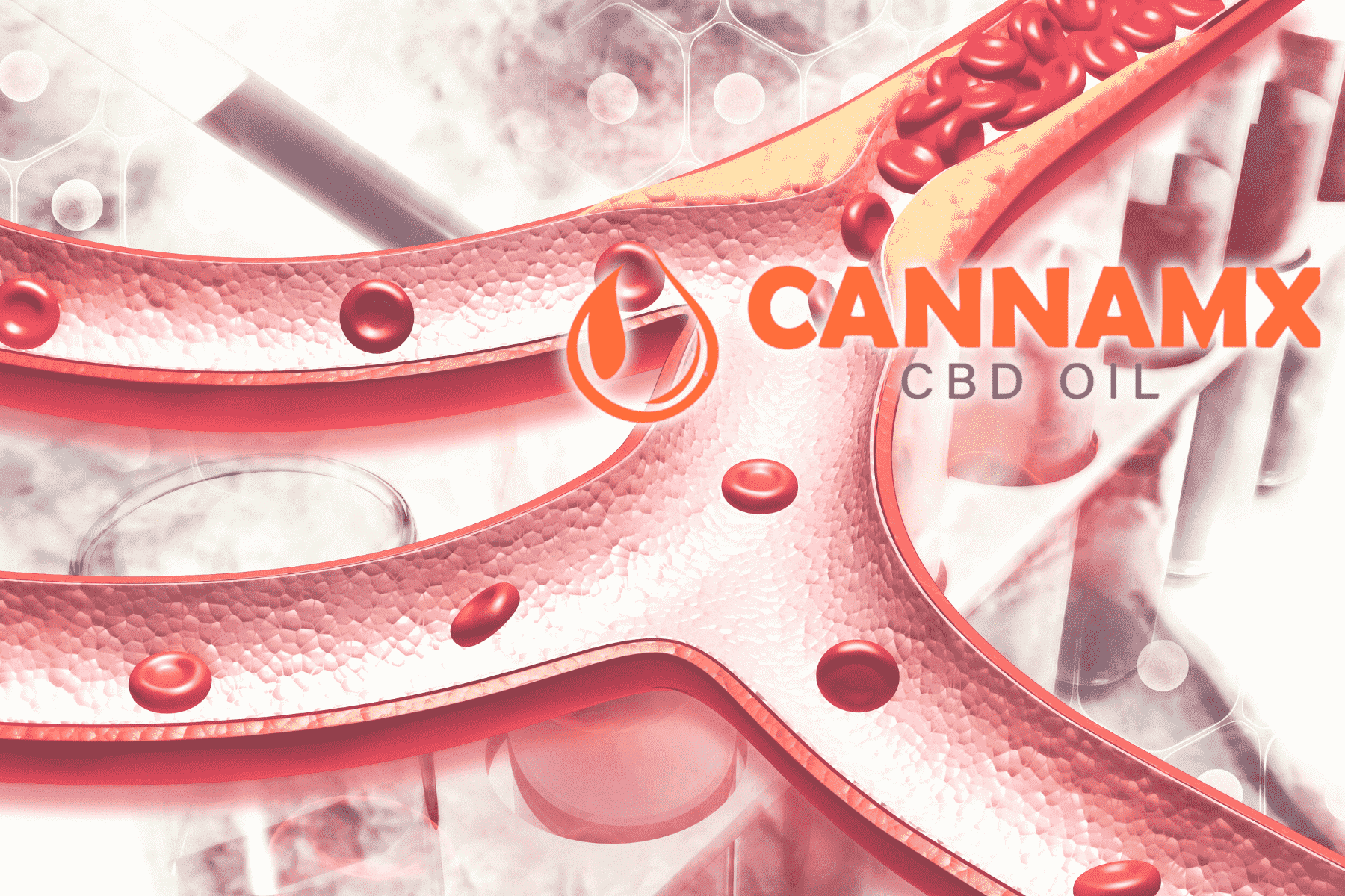 Nº 4 CBD: el efecto en las arterias