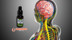 El CBD: ¿Cómo actúa en el sistema nervioso central y periférico?