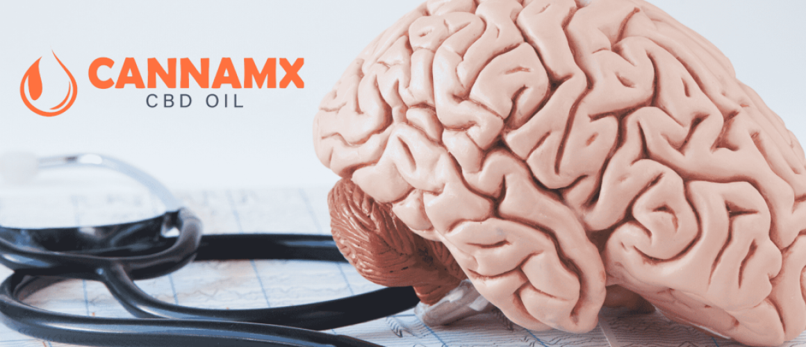 cannamx6