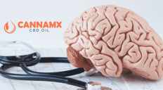 cannamx6