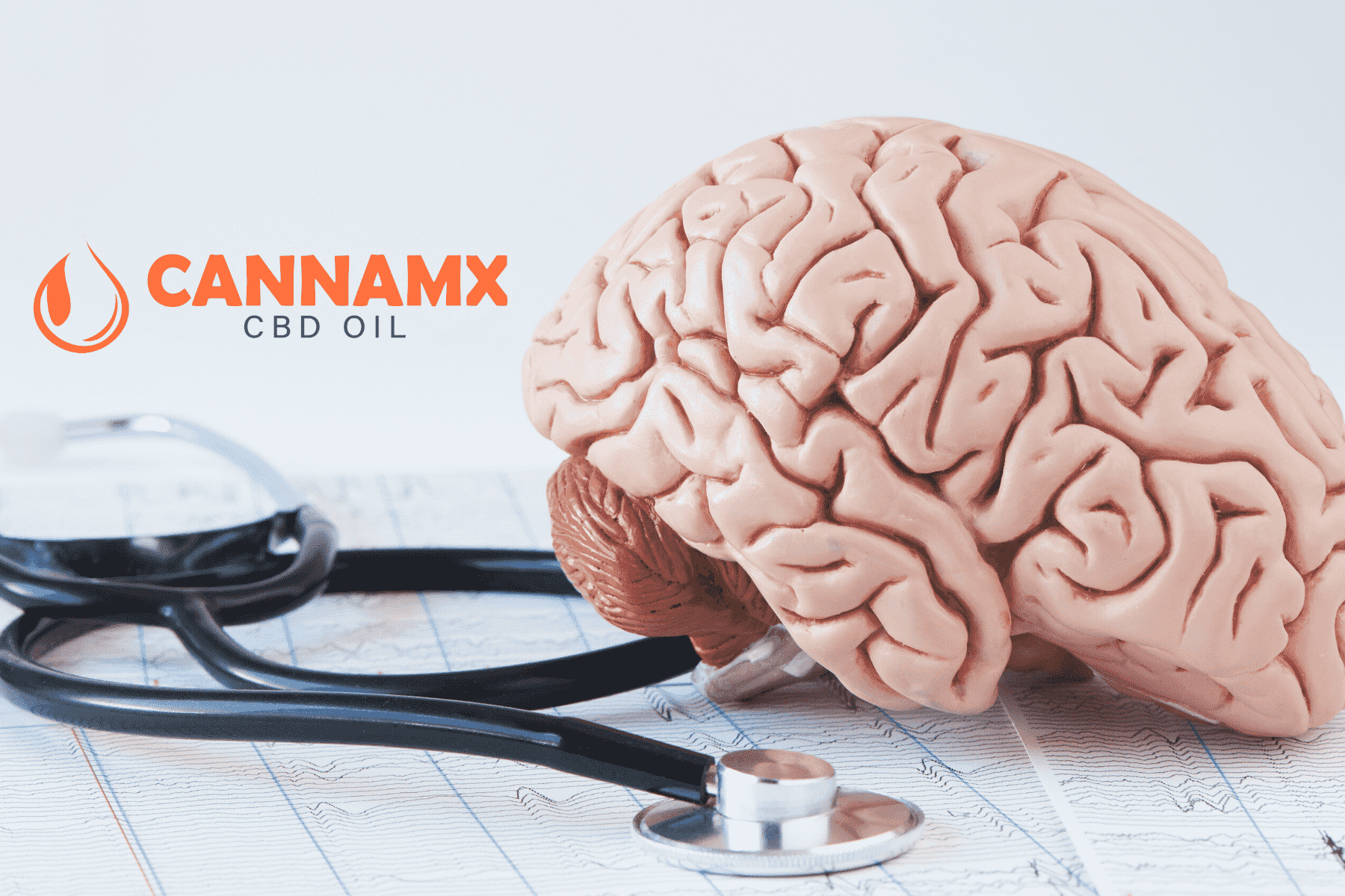 cannamx6