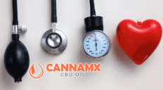 cannamx9