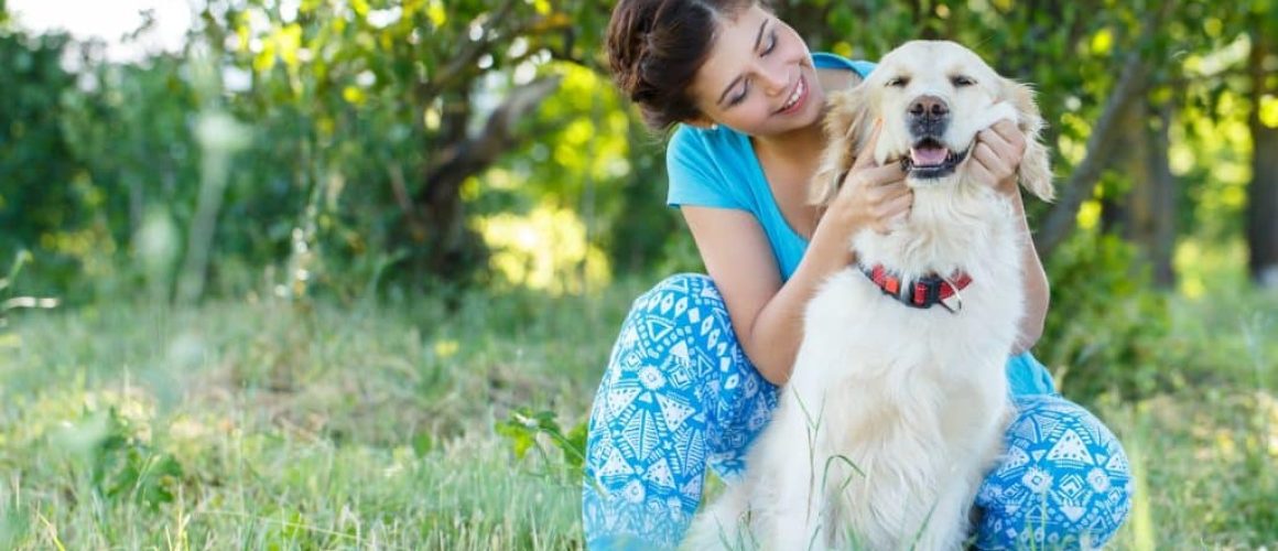 ¿CBD para mascotas?