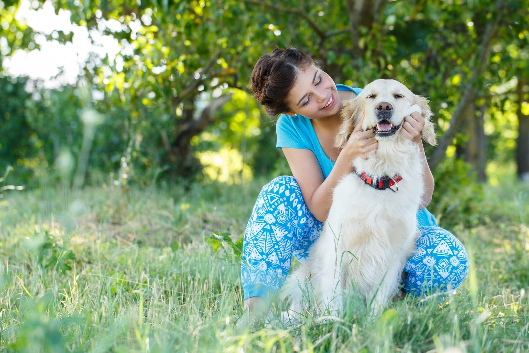 ¿CBD para mascotas?