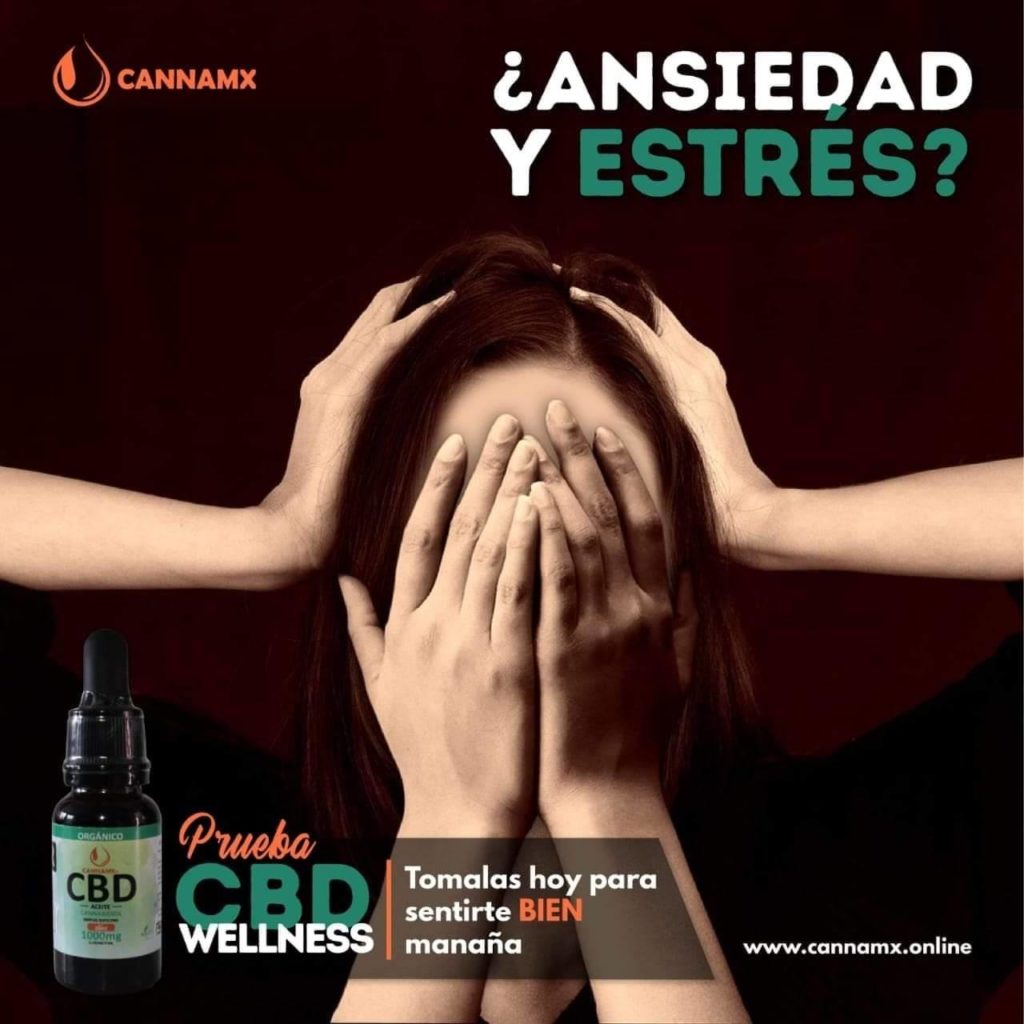 Prueba CBD Wellnes, tomalas hoy para sensirte bien CBD de espectro completo frente a CBD aislado: ¿cuál es la diferencia?