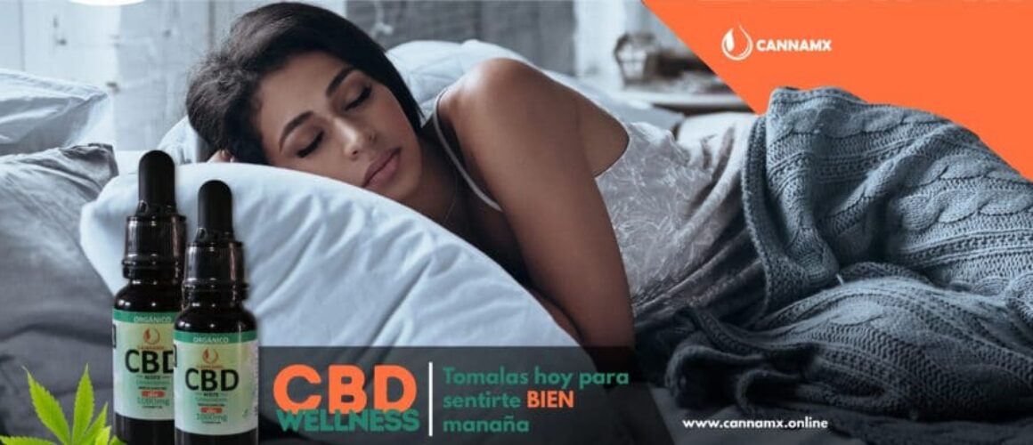 CBD de espectro completo frente a CBD aislado