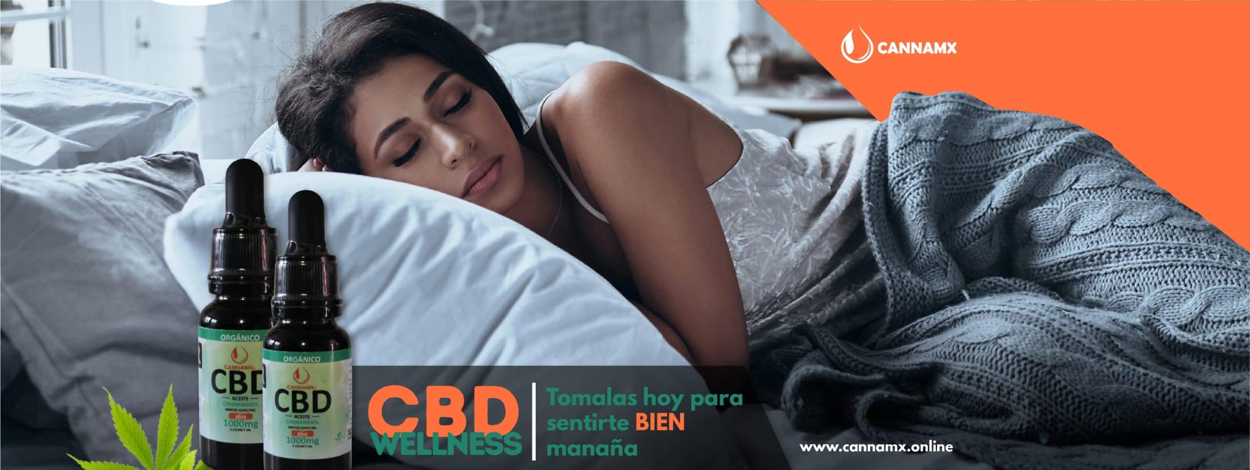 CBD de espectro completo frente a CBD aislado